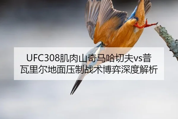ji-rou-shan-qi-ma-ha-qie-fu-pu-wa-li-er-di-mian-ya-zhi-zhan-shu-bo-yi-shen-du-jie-xi-2-521.jpg