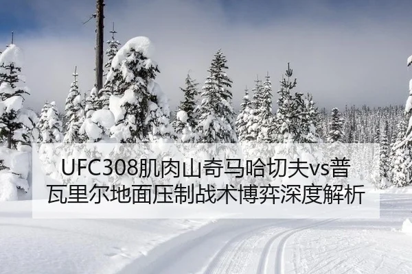 ji-rou-shan-qi-ma-ha-qie-fu-pu-wa-li-er-di-mian-ya-zhi-zhan-shu-bo-yi-shen-du-jie-xi-3-234.jpg